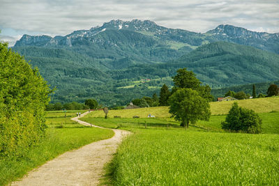 Scenic view of landscape and mountains against sky