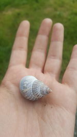 Close-up of snail on hand