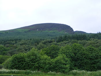 Scenic view of mountains