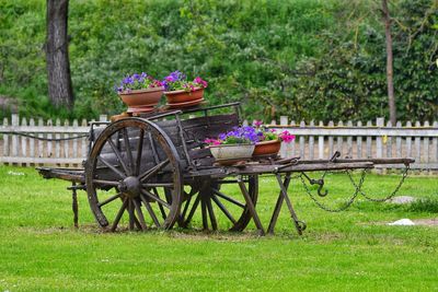 Wooden wagon wheel by plants on field