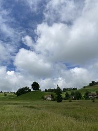 Scenic view of field against sky