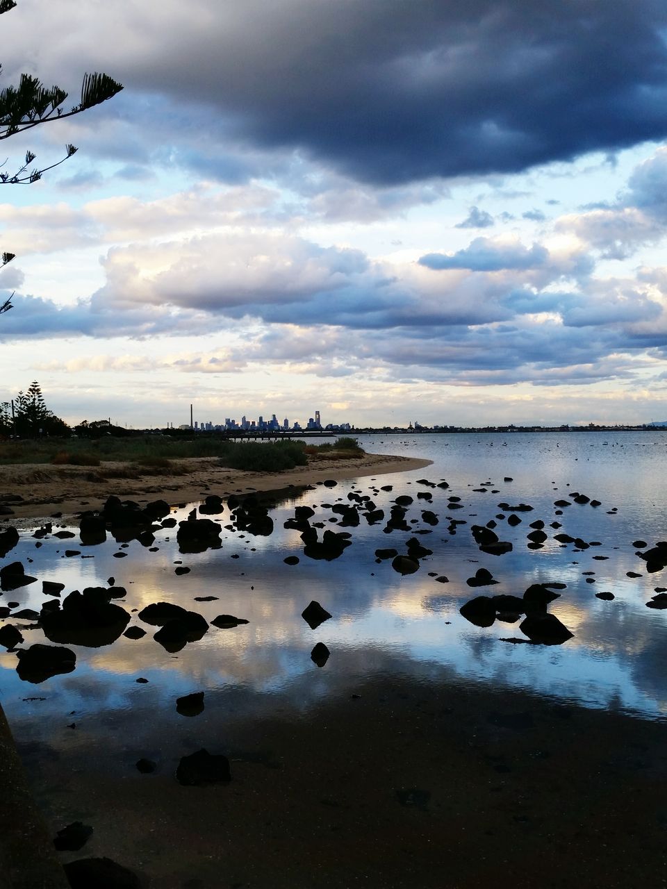 water, sky, cloud - sky, bird, cloudy, lake, tranquility, tranquil scene, nature, reflection, beauty in nature, cloud, scenics, animal themes, overcast, beach, shore, sea, weather