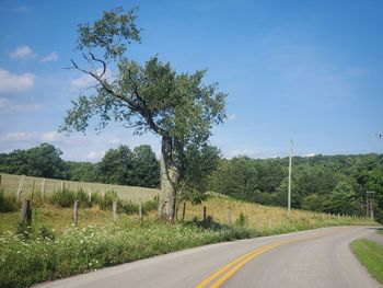 Road beside single  tree against sky