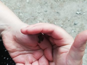 Close-up of human hand holding small