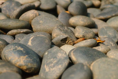 Detail shot of pebbles