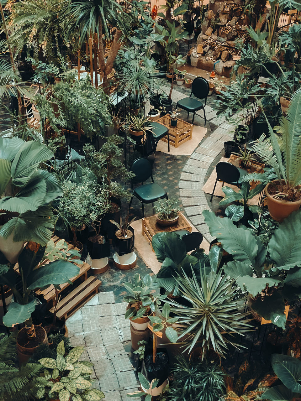 HIGH ANGLE VIEW OF POTTED PLANTS ON FOOTPATH