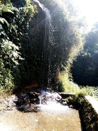 River flowing through rocks