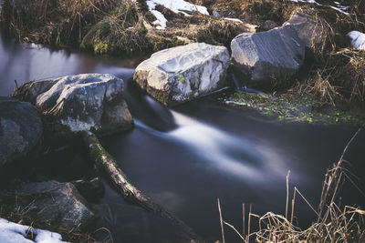 Scenic view of waterfall in forest