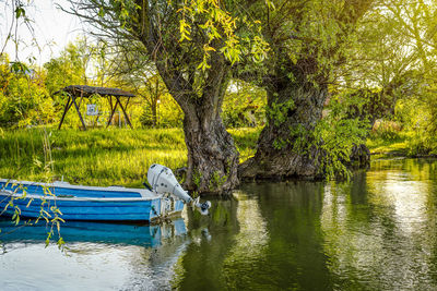 Scenic view of lake