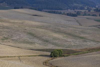 High angle view of agricultural field