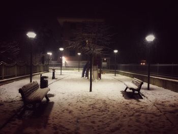 People on snow covered landscape at night