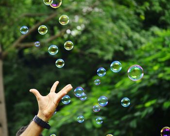 Close-up of bubbles in mid-air