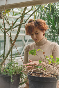 A beautiful plus size young woman takes care of plants green plants in the greenhouse. 