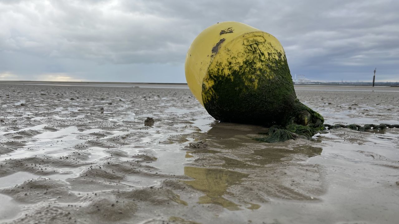 SCENIC VIEW OF BEACH