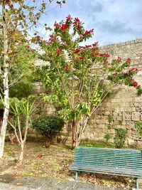 Plants and bench in park against sky