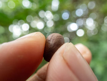 Close-up of human hand