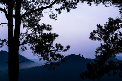 Low angle view of silhouette tree against sky