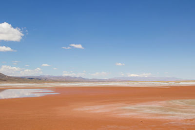 Scenic view of beach against blue sky