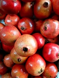 Full frame shot of tomatoes