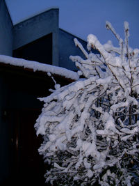 Snow on built structure in winter