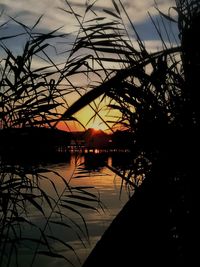 Silhouette trees by lake against sky during sunset