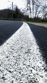 Surface level of road along bare trees