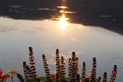 Scenic view of lake against sky during sunset