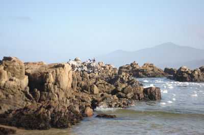 Scenic view of sea against clear sky