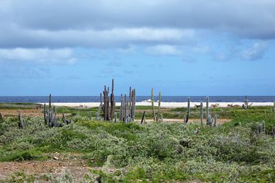 Scenic view of beach against sky