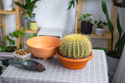 High angle view of potted plant on table