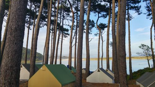 Scenic view of tents in forest against lake