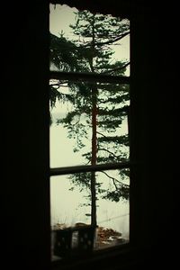 View of building through window