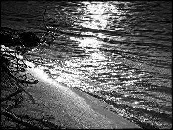 Reflection of trees in water