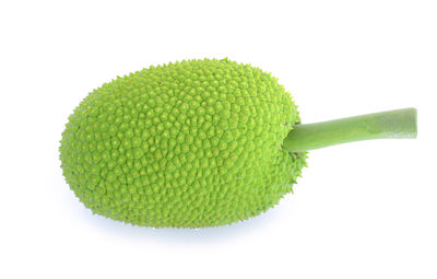 Close-up of green leaf against white background