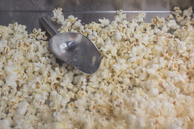 High angle view of eggs in container