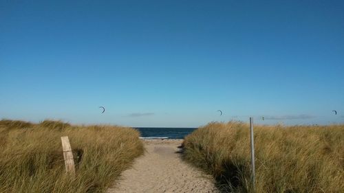 Scenic view of beach against clear blue sky