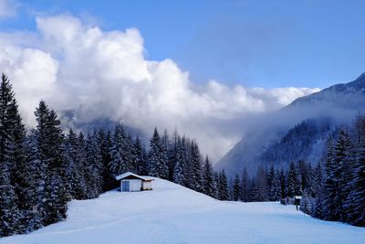 Cottage on snow covered field amidst trees against sky