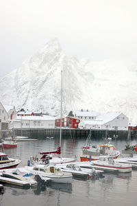 Boats in harbor