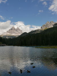 Flock of birds in lake against sky