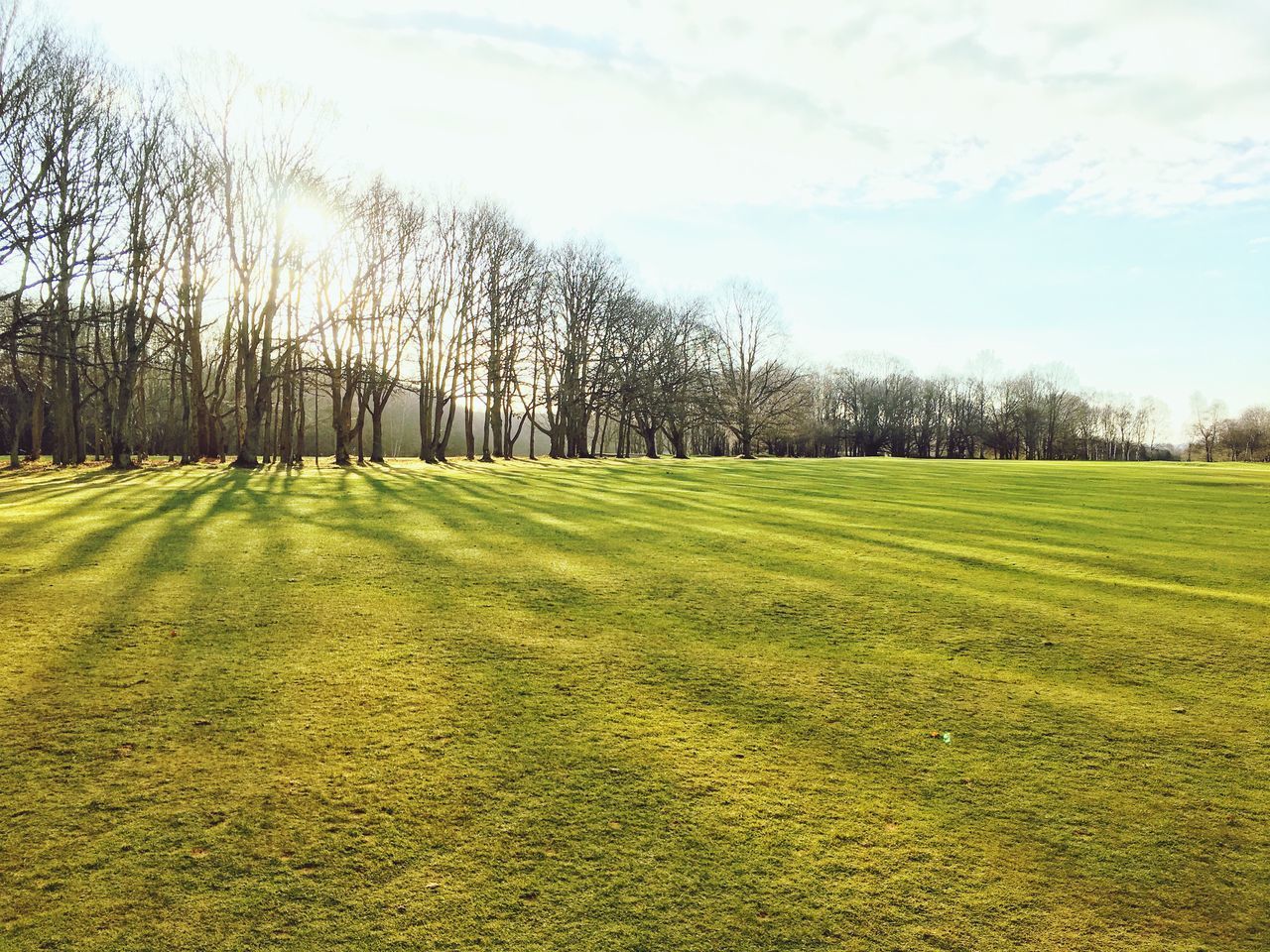 VIEW OF GOLF COURSE AGAINST SKY