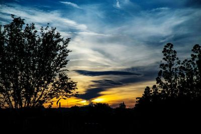 Silhouette of trees against cloudy sky