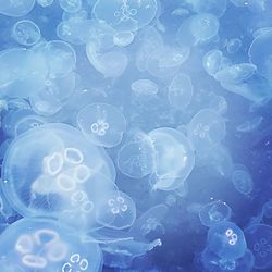 Close-up of bubbles in water