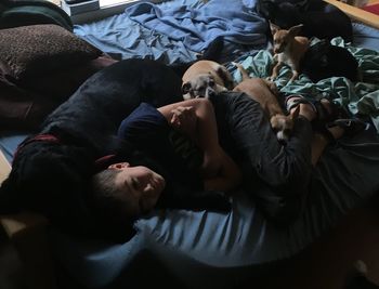 High angle view of boy lying by dogs on bed at home