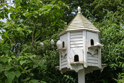 Low angle view of bird on building