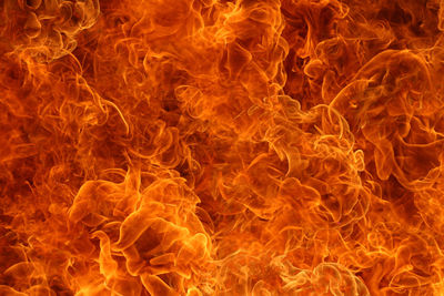 Close-up of fire crackers against black background