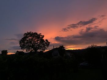 Silhouette trees and buildings against sky during sunset