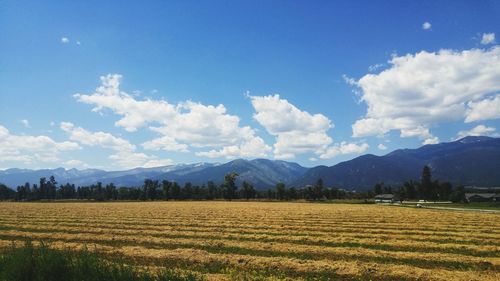 Scenic view of field against sky