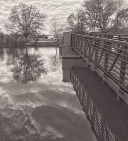 Reflection of trees in river