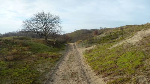 Dirt road along landscape and against sky