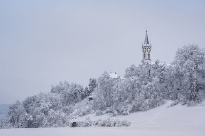 Plants against clear sky during winter